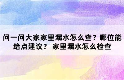 问一问大家家里漏水怎么查？哪位能给点建议？ 家里漏水怎么检查